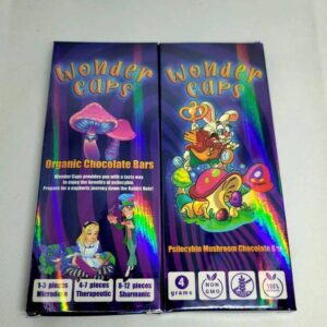 Wonderland Psychedelic Mushroom